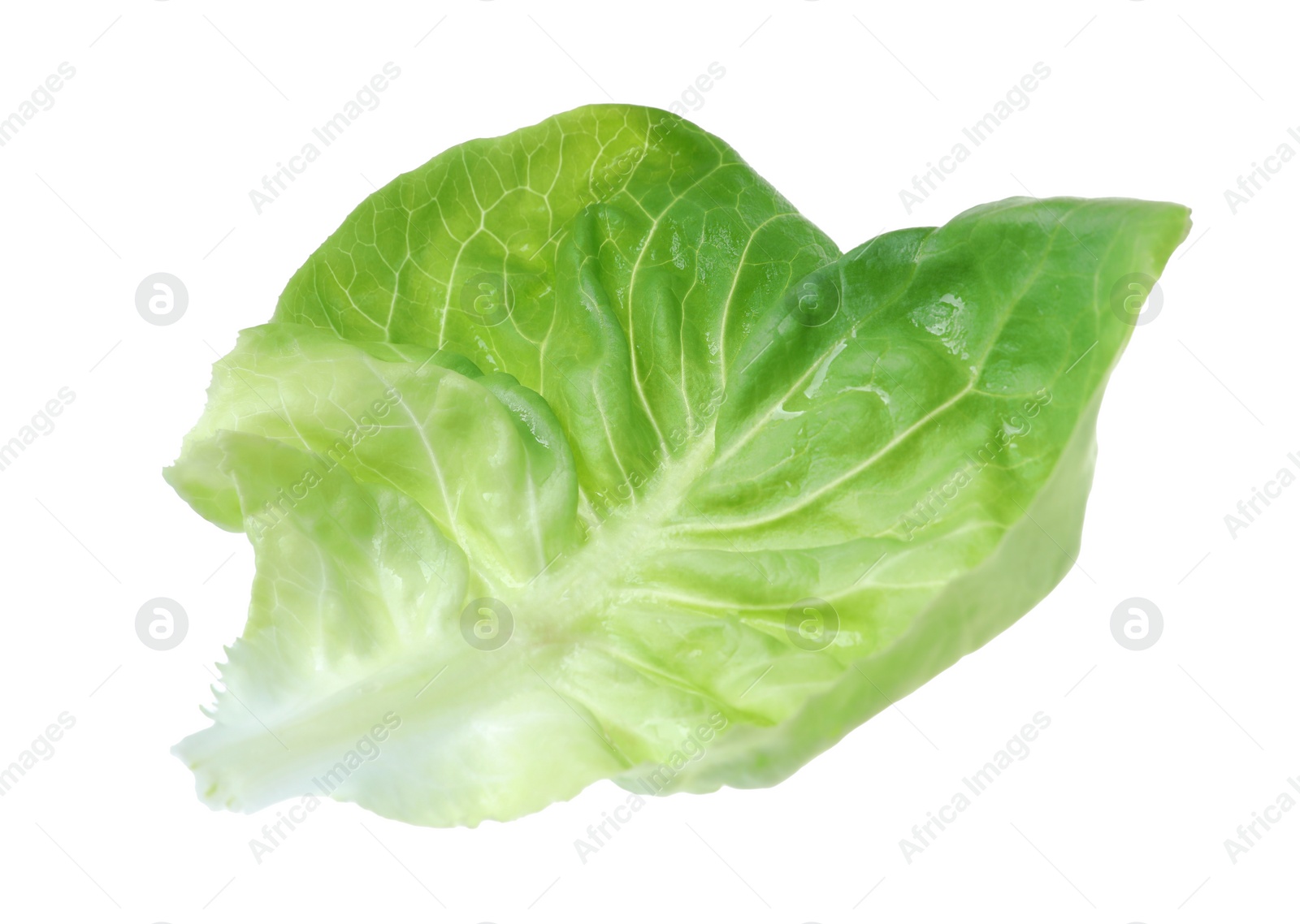 Photo of Fresh green butter lettuce leaf isolated on white