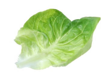 Fresh green butter lettuce leaf isolated on white