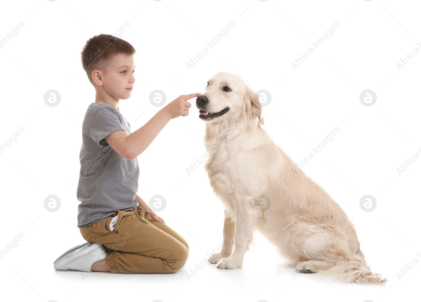 Photo of Cute little child with his pet on white background