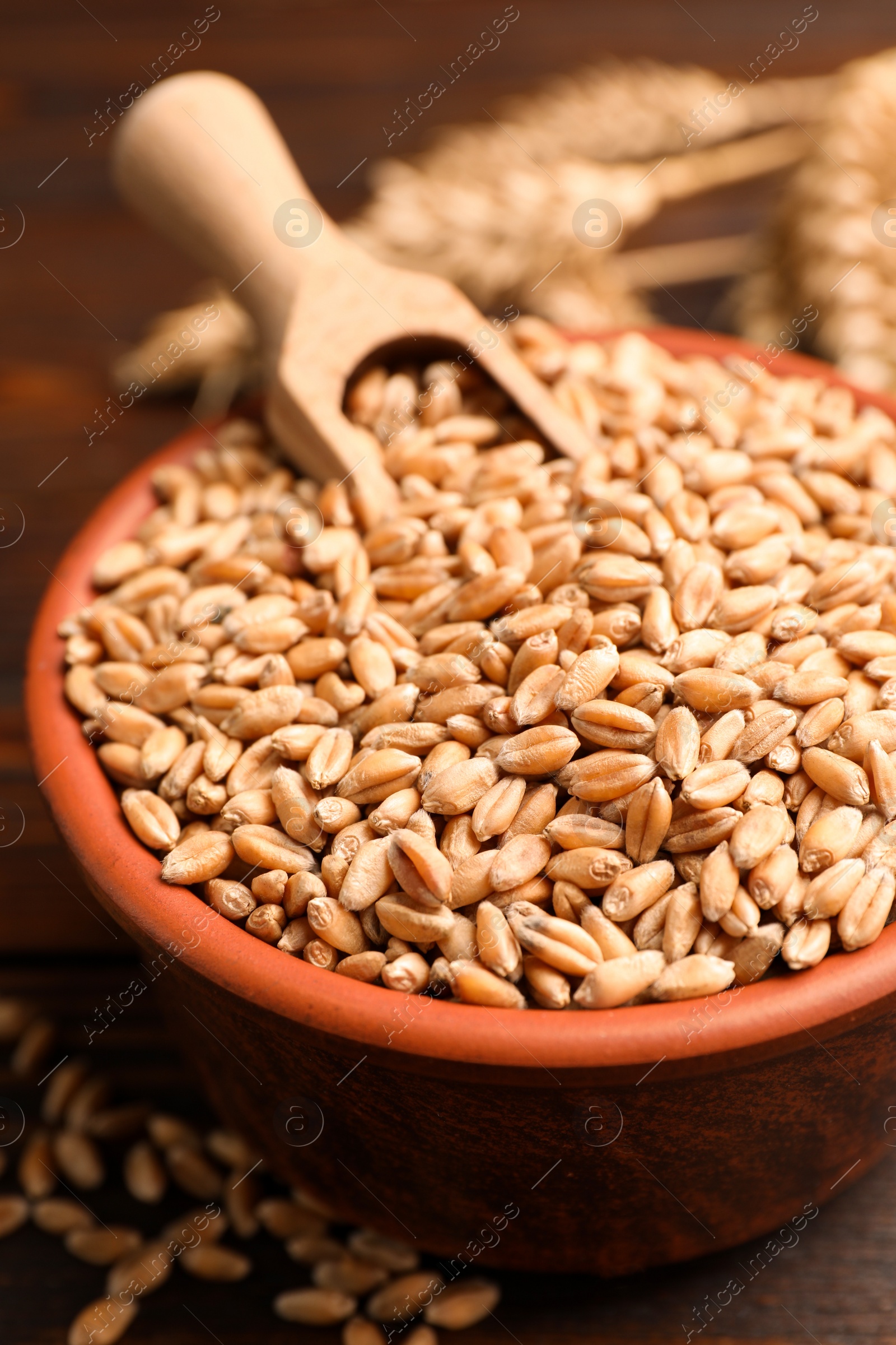 Photo of Bowl of wheat grains on wooden table, closeup