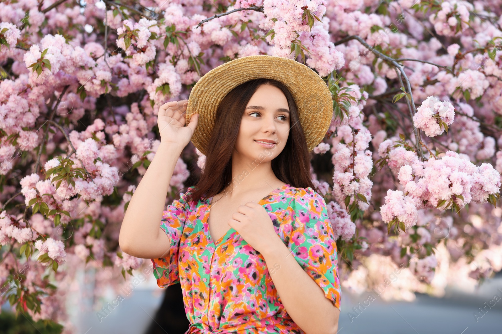 Photo of Beautiful woman in straw hat near blossoming tree on spring day