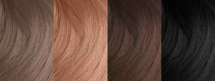 Image of Collagecolor hair samples, closeup. Banner design