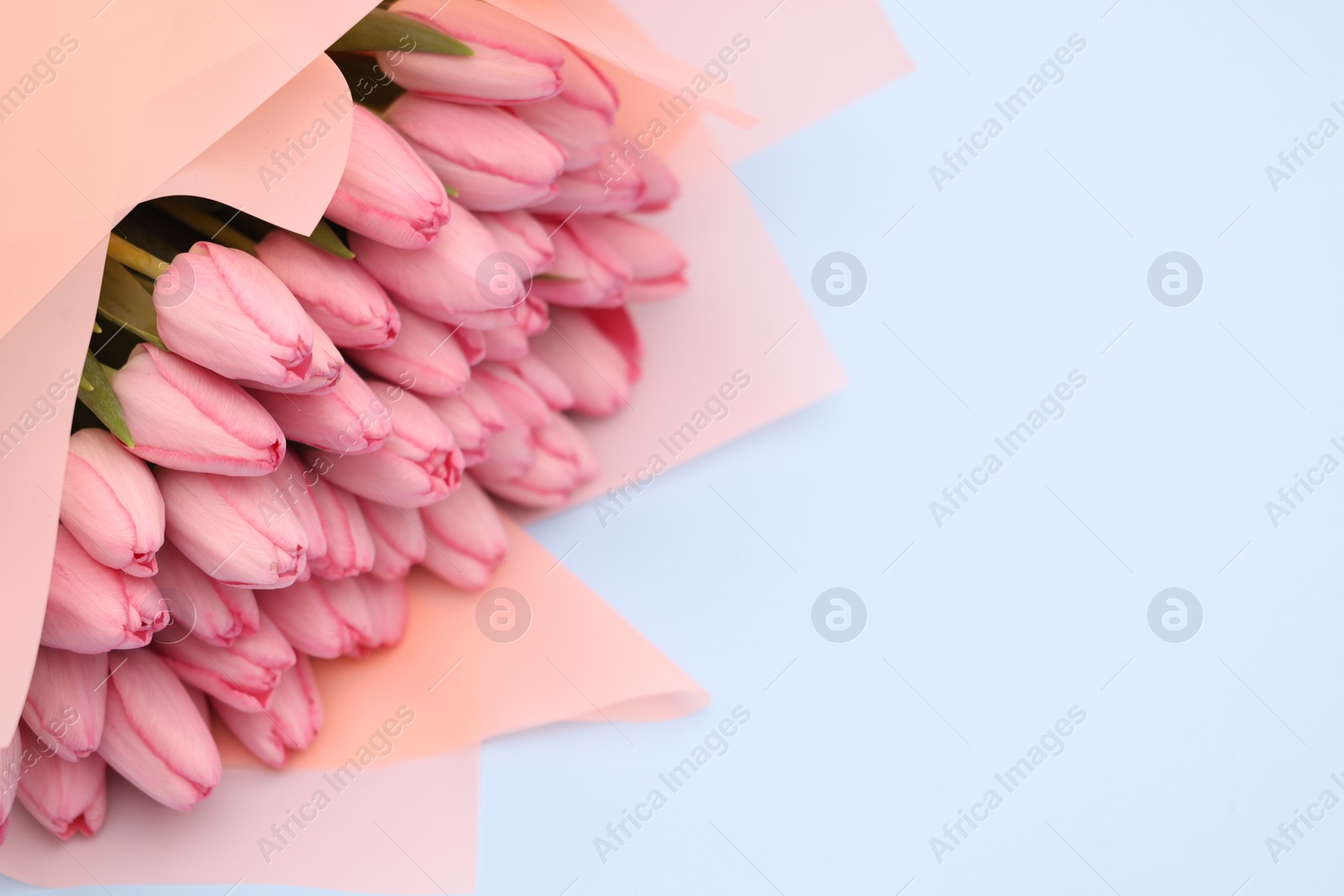 Photo of Bouquet of beautiful pink tulips on light grey background, above view. Space for text