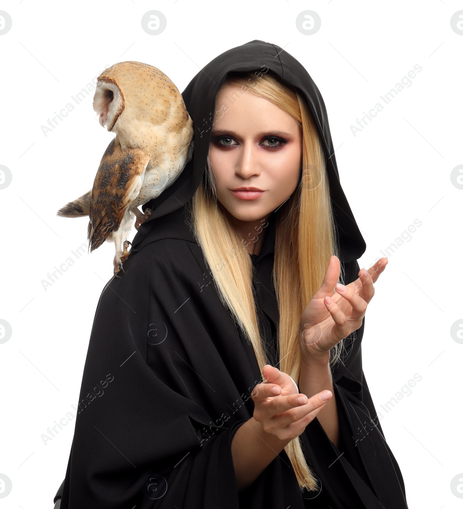 Photo of Witch in black mantle with owl isolated on white. Scary fantasy character