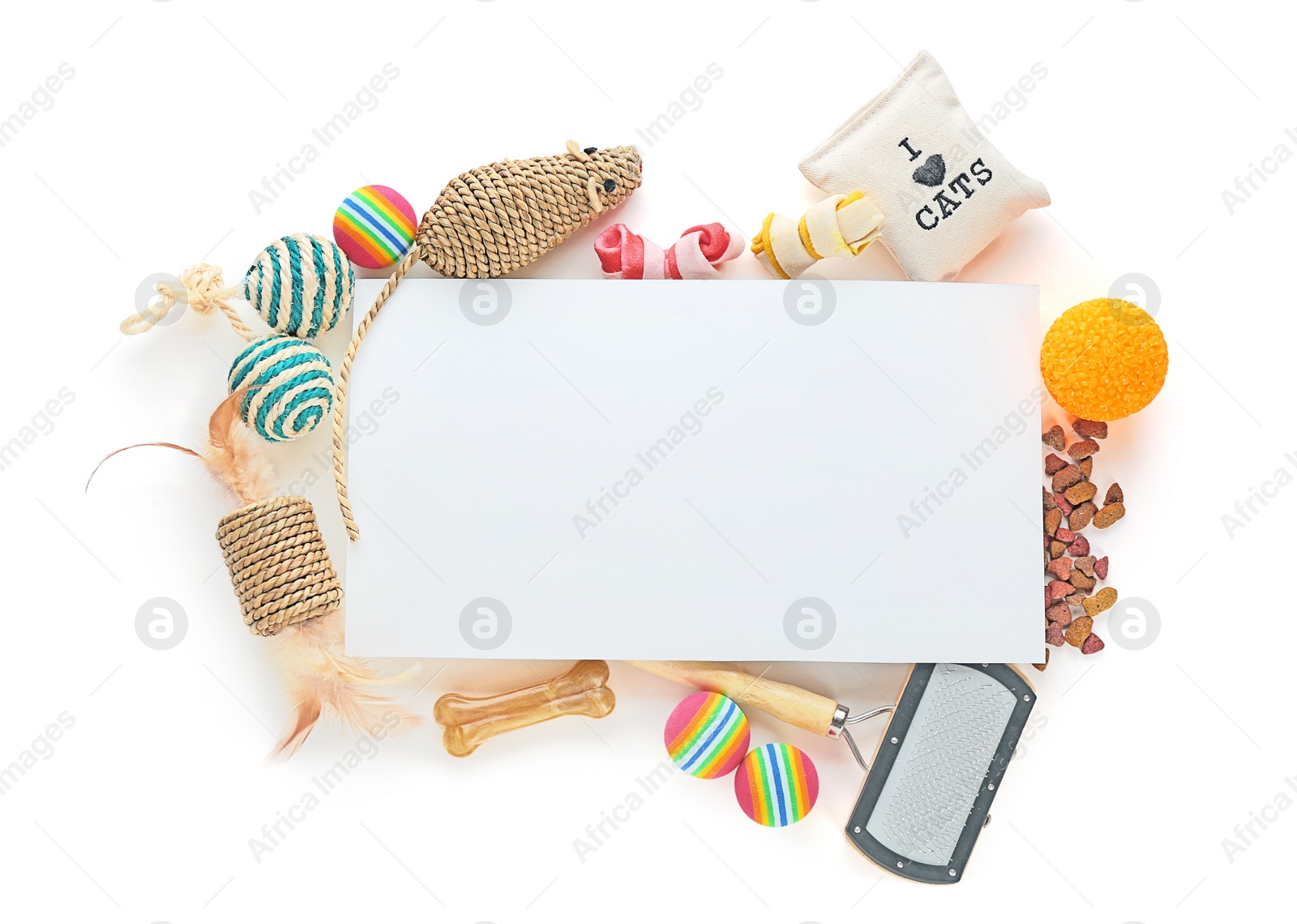 Photo of Composition with blank sheet of paper and cat's accessories on white background