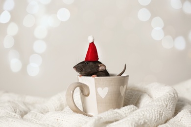 Photo of Cute little rat with Santa hat in cup on knitted blanket against blurred lights. Chinese New Year symbol