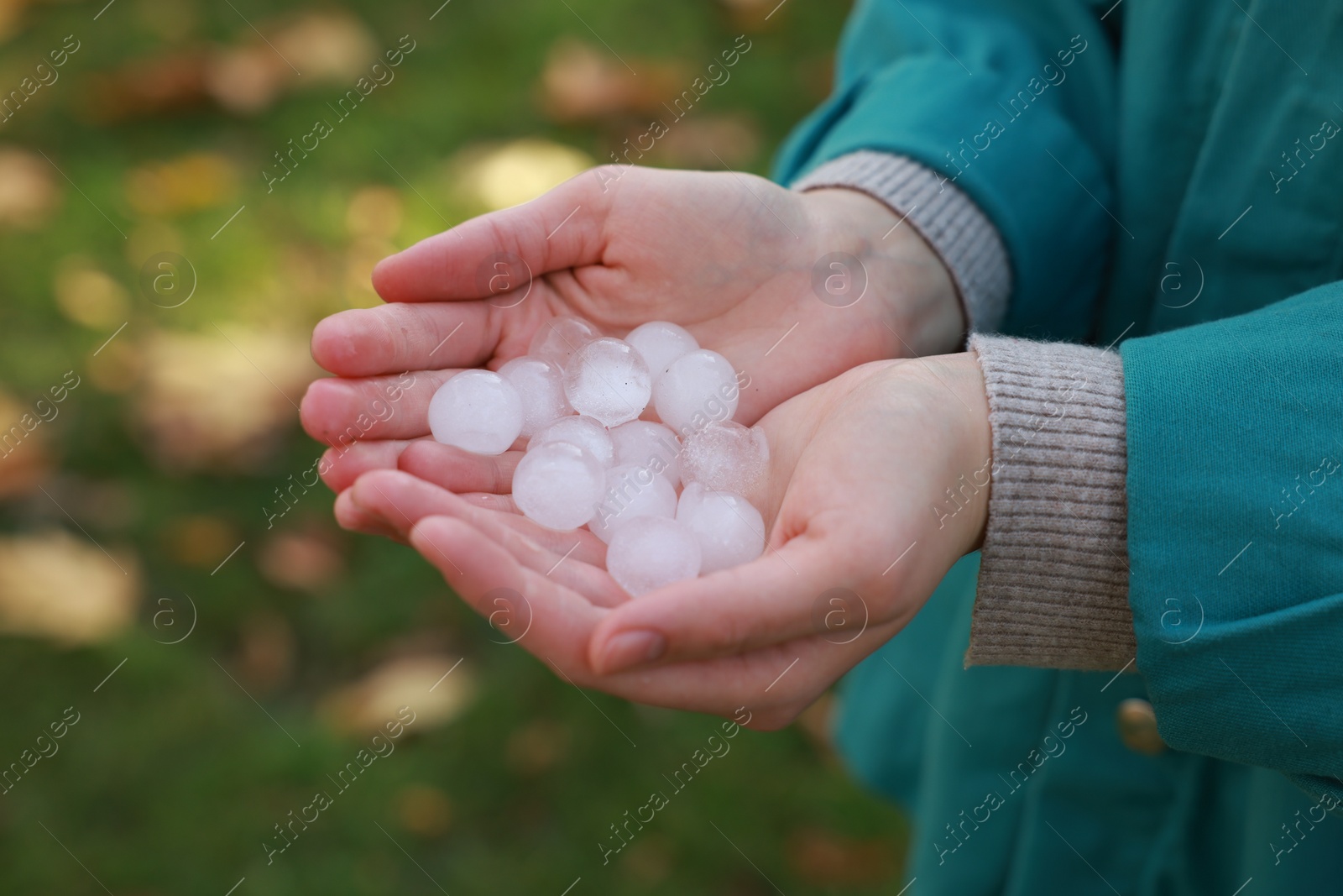 Photo of Woman holding hail grains after thunderstorm outdoors, closeup