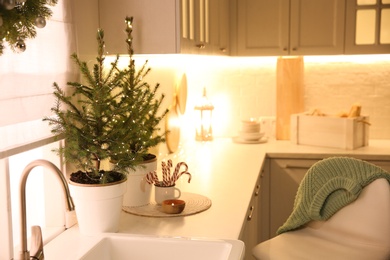 Photo of Beautiful kitchen decorated with potted firs. Interior design