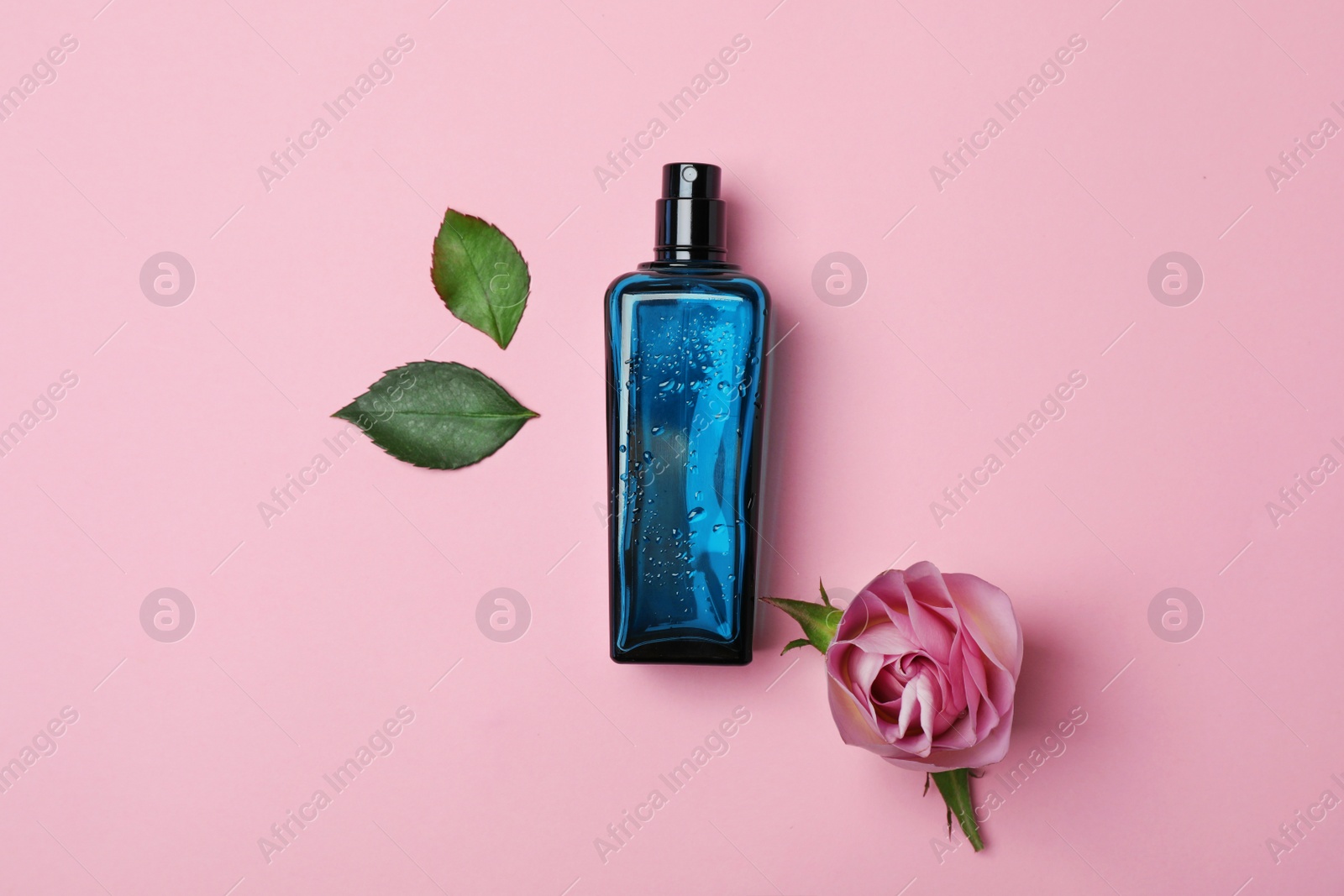 Photo of Bottle of perfume and rose on color background, top view