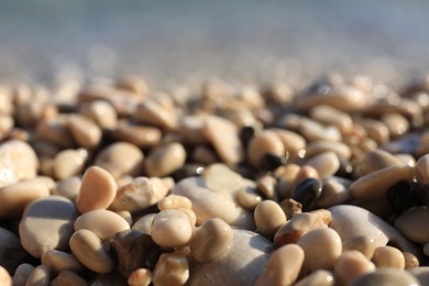 Photo of Closeup view of pebble beach on sunny day