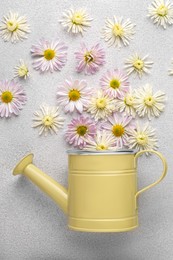 Watering can and beautiful flowers on light grey background, flat lay