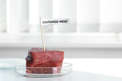 Photo of Pieces of raw cultured meat with toothpick label in Petri dish on white table indoors, space for text