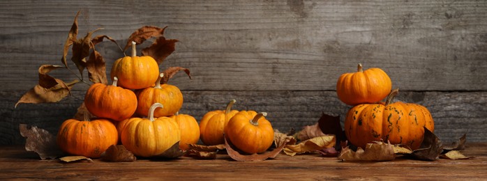 Photo of Thanksgiving day. Beautiful composition with pumpkins on wooden table, space for text