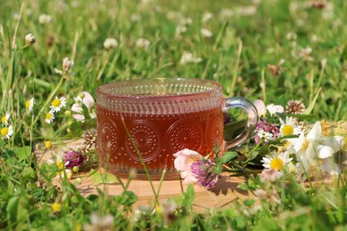 Ornate glass cup of tea, different wildflowers and herbs on wooden board in meadow