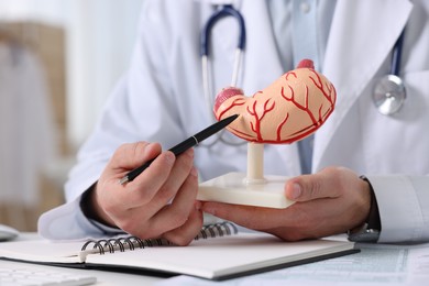 Photo of Gastroenterologist showing human stomach model at table in clinic, closeup