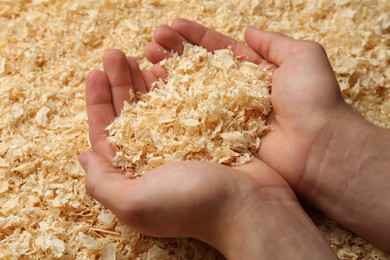 Photo of Woman holding dry natural sawdust, closeup view