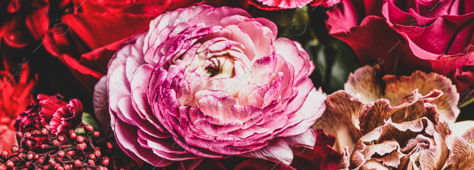 Image of Beautiful bouquet of different flowers, closeup. Banner design