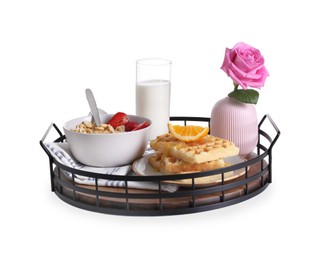 Tray with delicious breakfast and beautiful flower on white background
