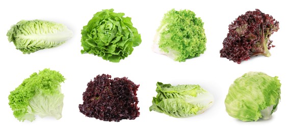 Image of Different types of lettuce isolated on white, collage design