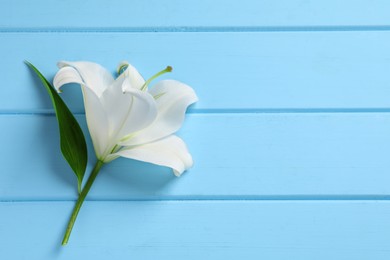 Photo of Beautiful white lily flower on light blue wooden table, top view. Space for text