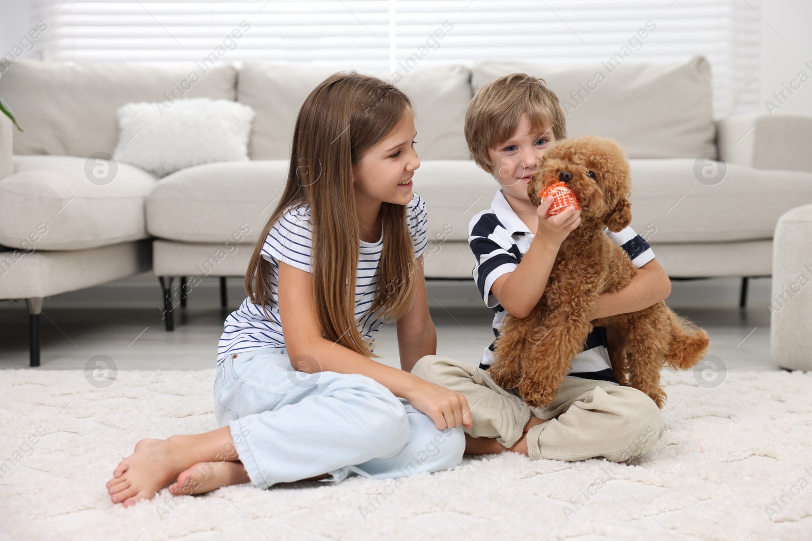 Photo of Little children playing with cute puppy on carpet at home. Lovely pet