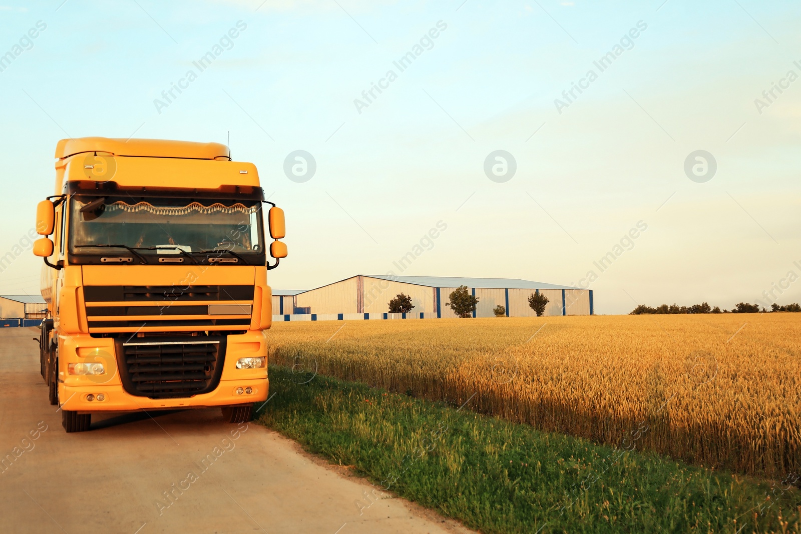 Photo of Modern yellow truck on country road. Space for text