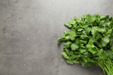 Photo of Bunch of fresh green cilantro on grey table, above view. Space for text