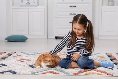 Little girl petting cute ginger cat on carpet at home, space for text