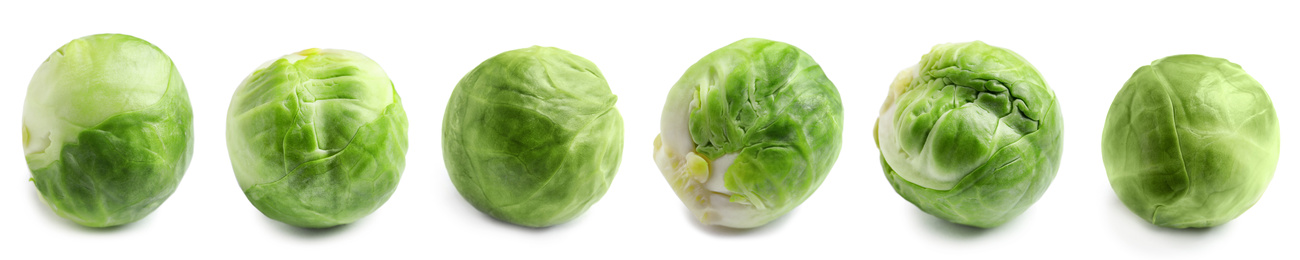 Image of Set of fresh Brussels sprouts on white background. Banner design 