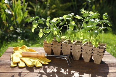 Photo of Beautiful seedlings in containers, gloves and rake on wooden table outdoors