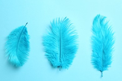 Photo of Beautiful delicate feathers on light blue background, flat lay