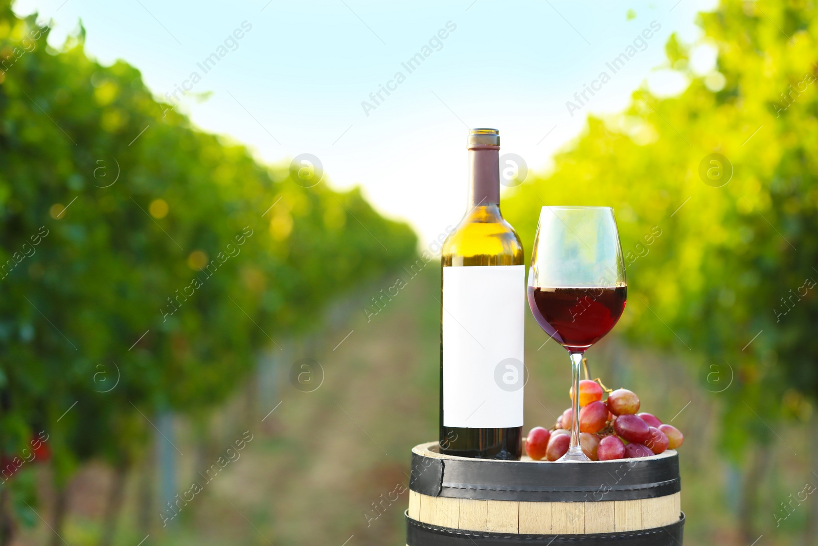 Photo of Composition with wine and ripe grapes on barrel at vineyard