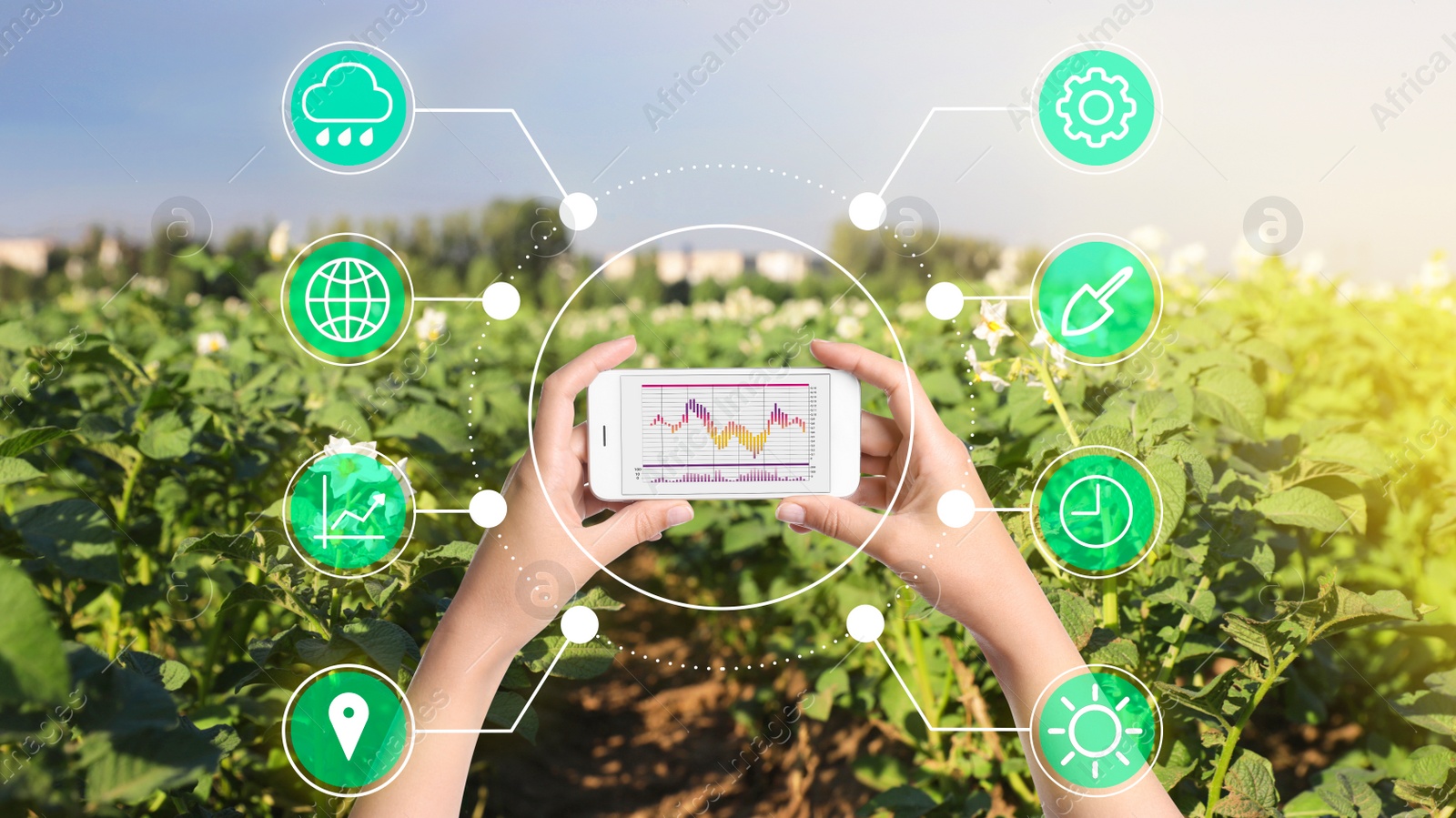 Image of Modern agriculture. Woman with smartphone in field and icons, closeup