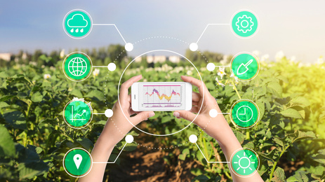 Image of Modern agriculture. Woman with smartphone in field and icons, closeup