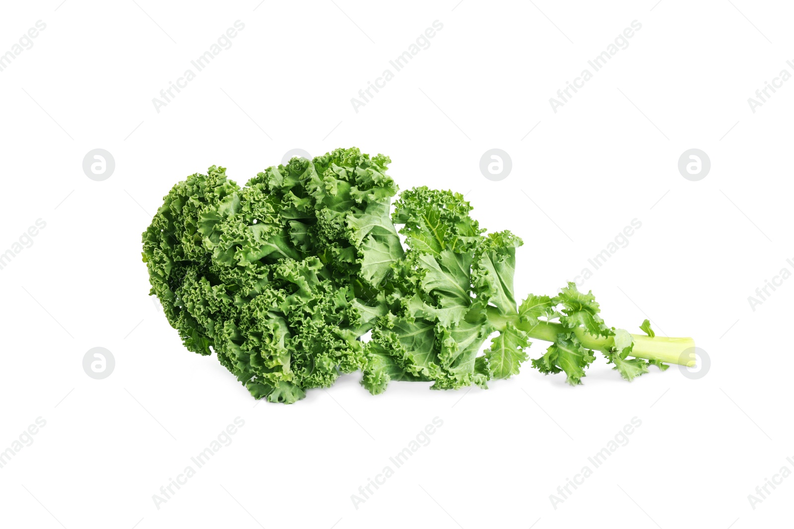 Photo of Fresh green kale leaf isolated on white