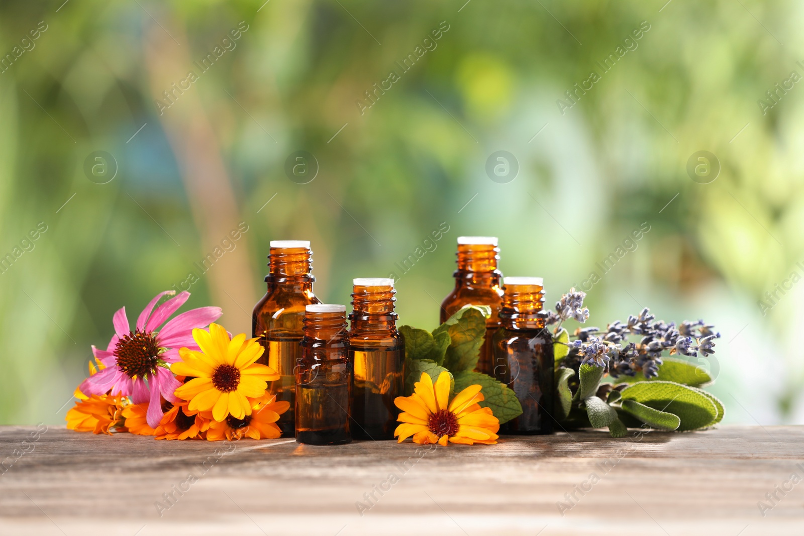 Photo of Bottles with essential oils, herbs and flowers on wooden table against blurred green background. Space for text