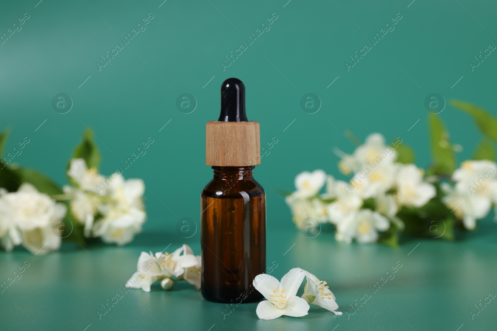 Photo of Essential oil in bottle and beautiful jasmine flowers on green background