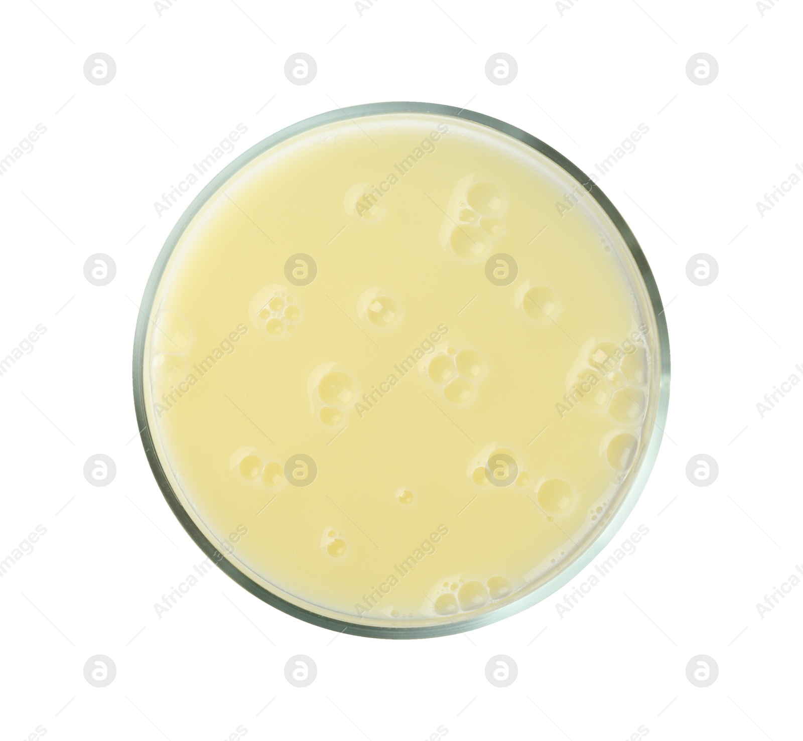 Photo of Petri dish with yellow liquid sample on white background, top view