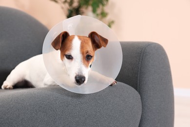 Photo of Jack Russell Terrier dog wearing medical plastic collar on sofa indoors