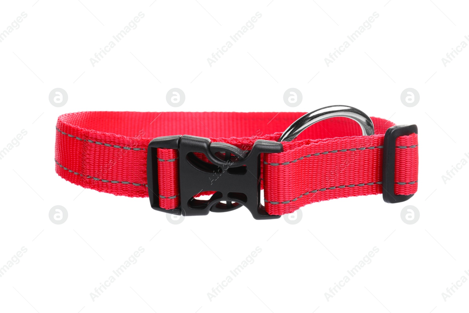 Photo of New textile dog collar isolated on white