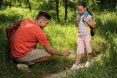 Photo of Father spraying tick repellent on his little daughter's leg during hike in nature