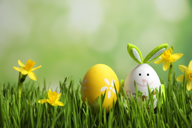 Photo of Colorful Easter eggs and narcissus flowers in green grass against blurred background, closeup