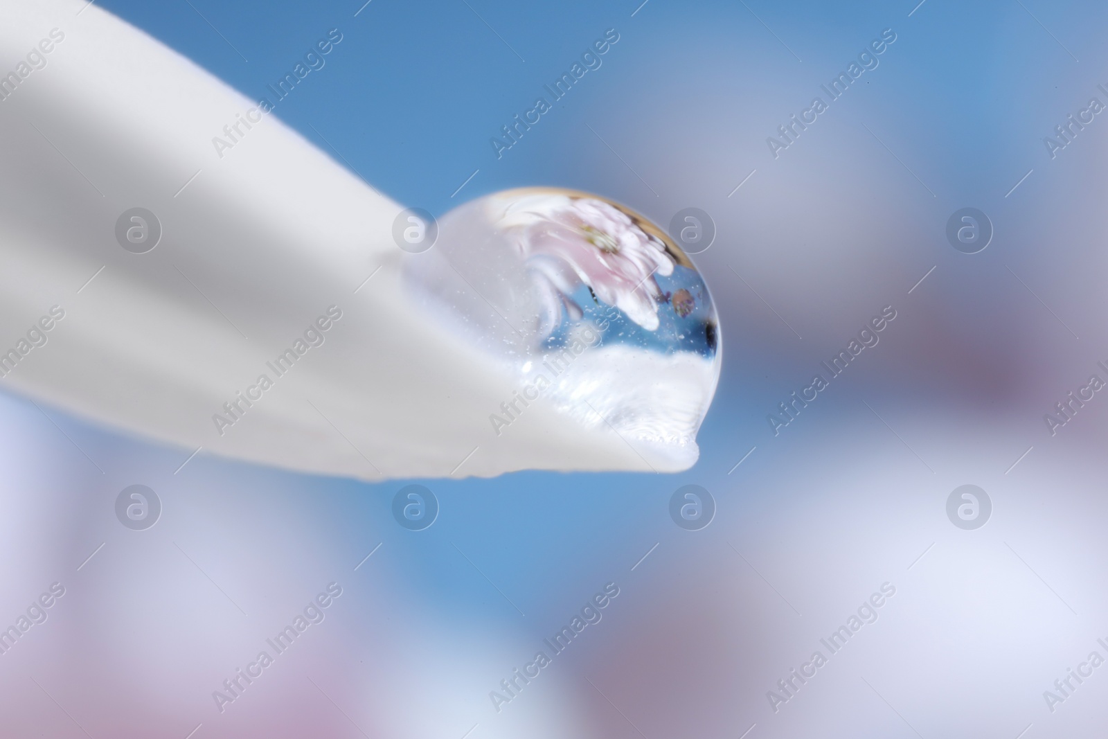 Photo of Macro photo of beautiful flower reflected in water drop on white petal against blurred background