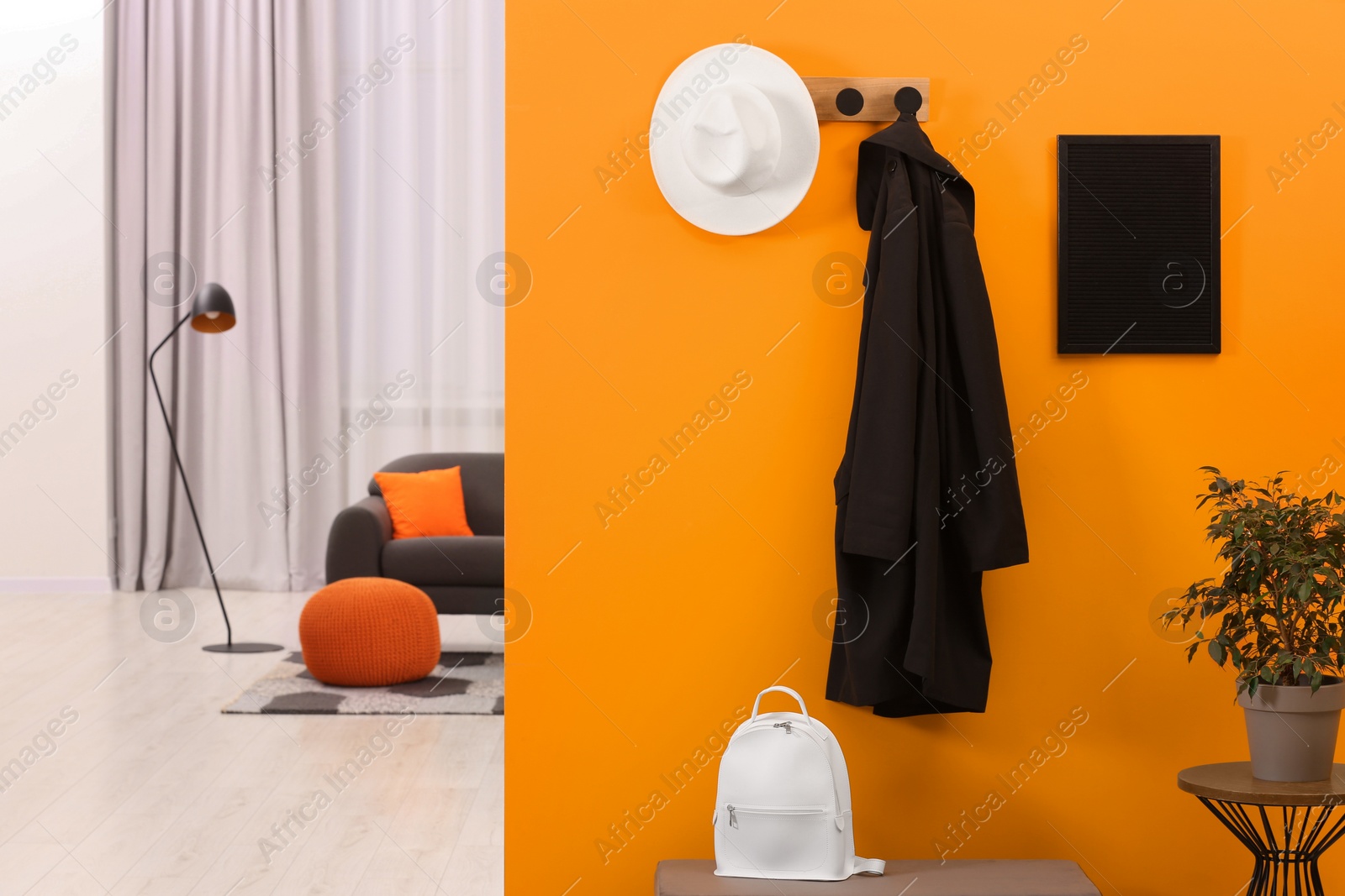 Photo of Hat, coat, backpack and houseplant near orange wall in stylish room, space for text. Interior design