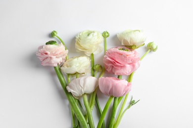 Photo of Beautiful ranunculus flowers on white background