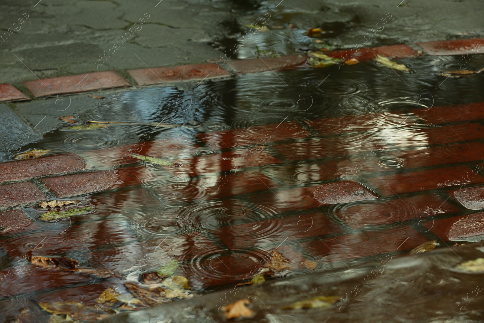 Photo of Rippled puddle and fallen leaves on pathway after rain