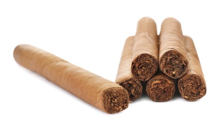 Photo of Many cigars on white background. Tobacco smoking