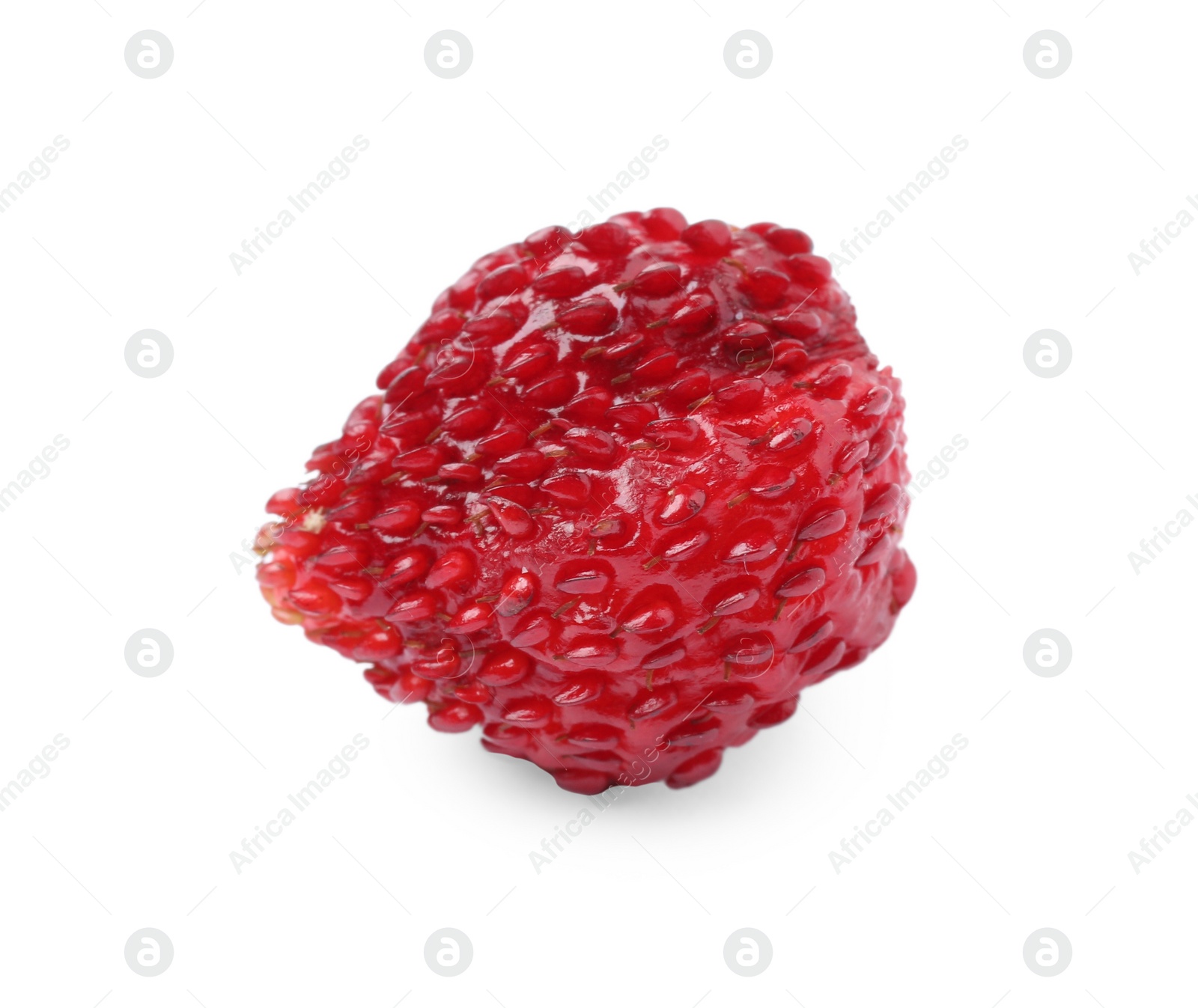 Photo of One ripe wild strawberry isolated on white