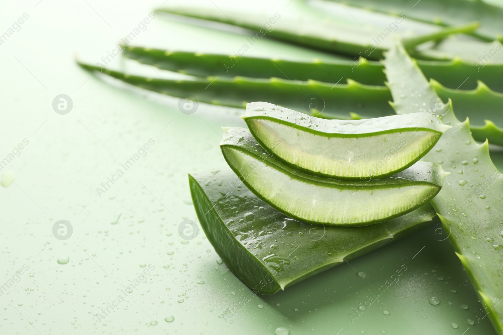 Photo of Fresh aloe vera pieces on green background, closeup. Space for text