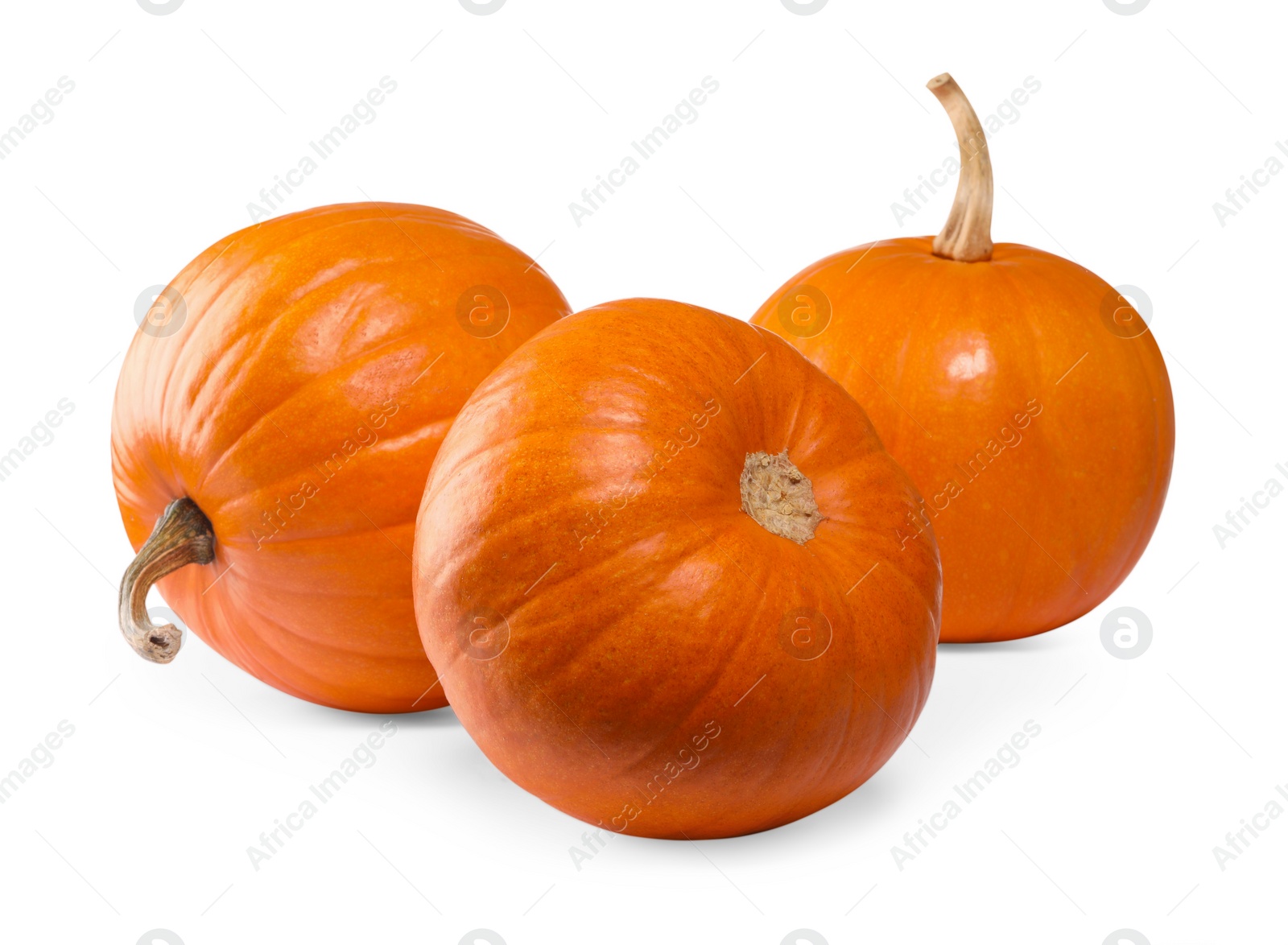 Photo of Many fresh orange pumpkins isolated on white